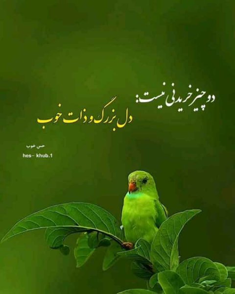  پروفایل آموزنده جدید