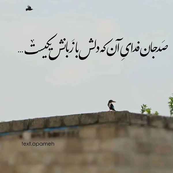  پروفایل آموزنده جدید