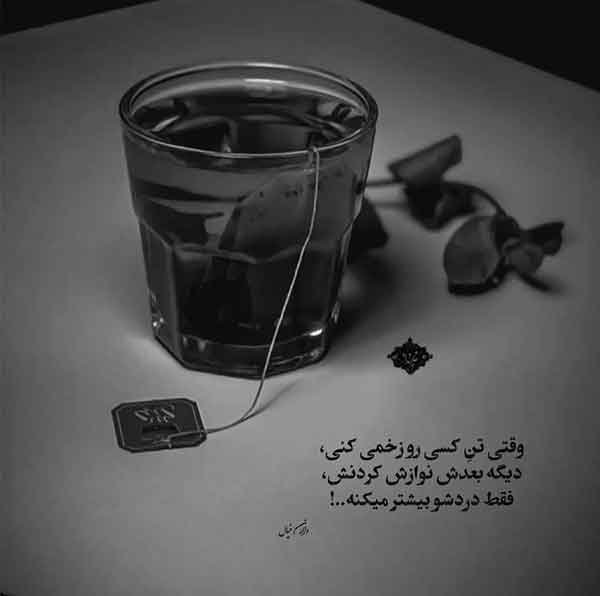  پروفایل آموزنده جدید