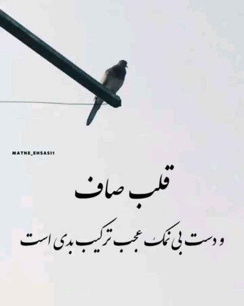  پروفایل آموزنده جدید