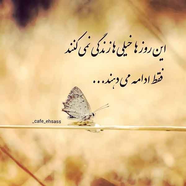  پروفایل آموزنده جدید