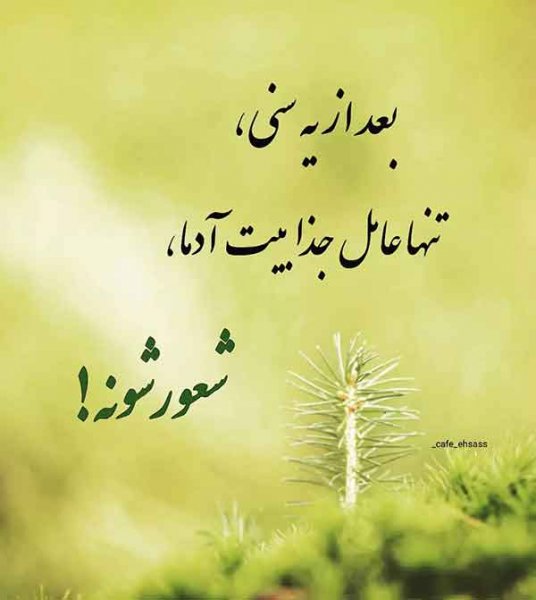  پروفایل آموزنده جدید