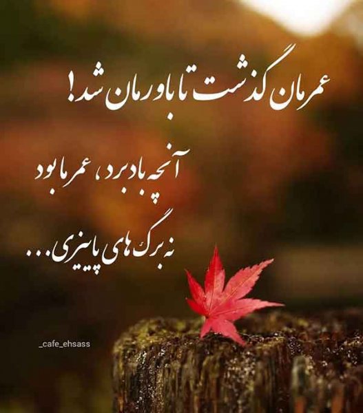  پروفایل آموزنده جدید