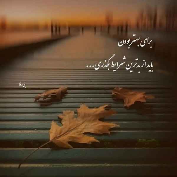  پروفایل آموزنده جدید