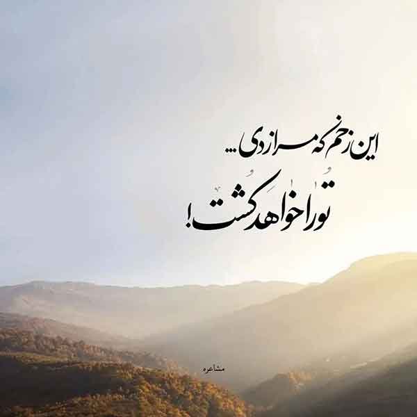  پروفایل آموزنده جدید