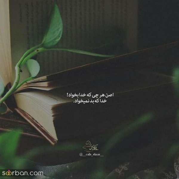  زیباترین پروفایل زندگی