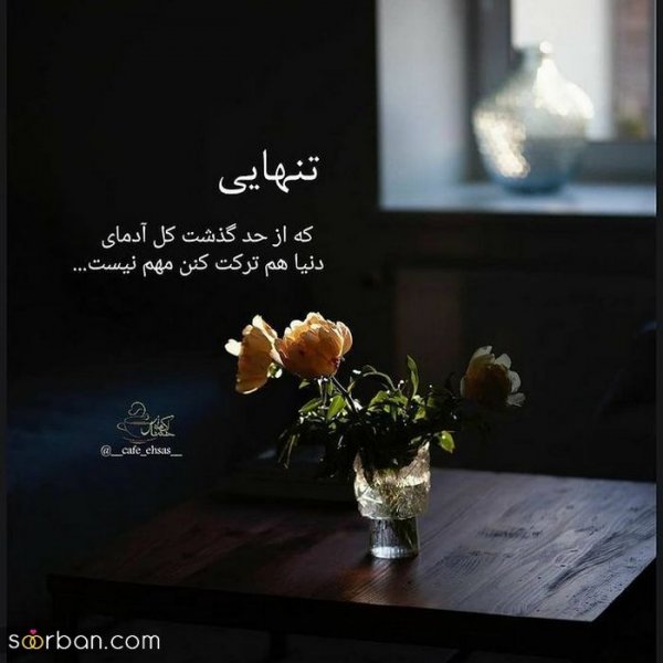  زیباترین پروفایل زندگی