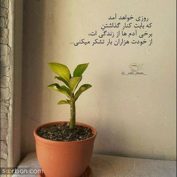  زیباترین پروفایل زندگی