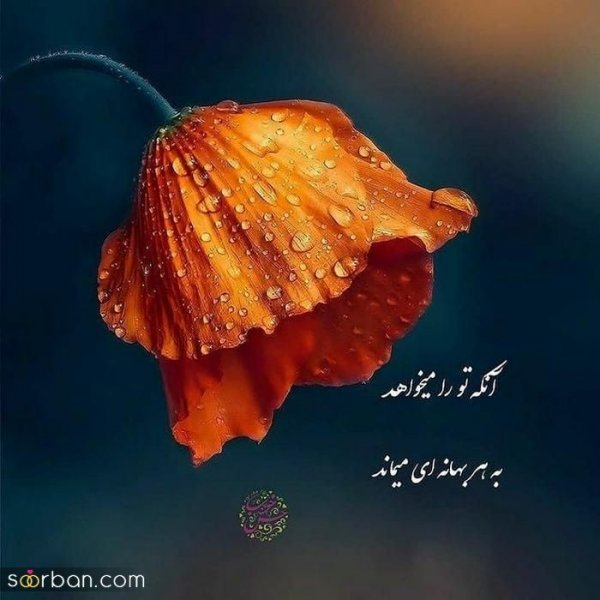  زیباترین پروفایل زندگی