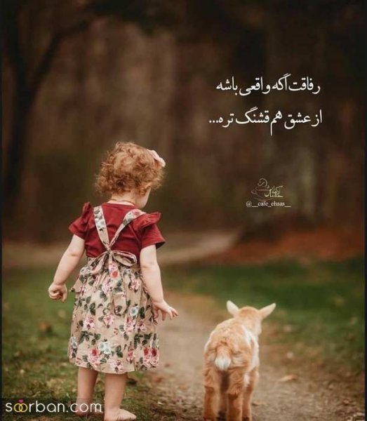  زیباترین پروفایل زندگی