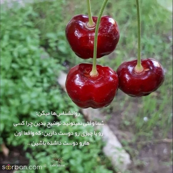  زیباترین پروفایل زندگی