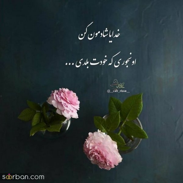  زیباترین پروفایل زندگی