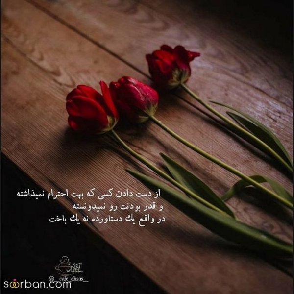  زیباترین پروفایل زندگی