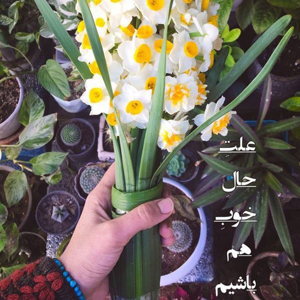  عکس انگیزشی برای پروفایل
