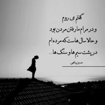  پروفایل آموزنده از بزرگان