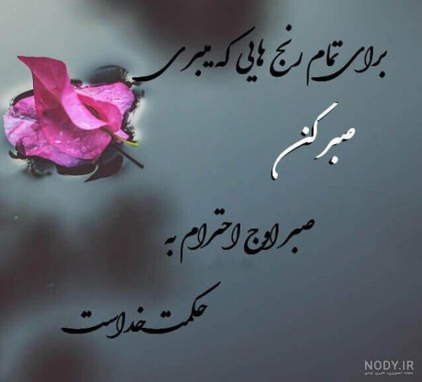 پروفایل آموزنده زندگی