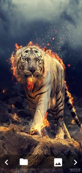  دانلود عکس‌ حیوانات وحشی با کیفیت بالا