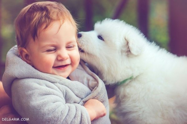  عکس هاپو برای پروفایل