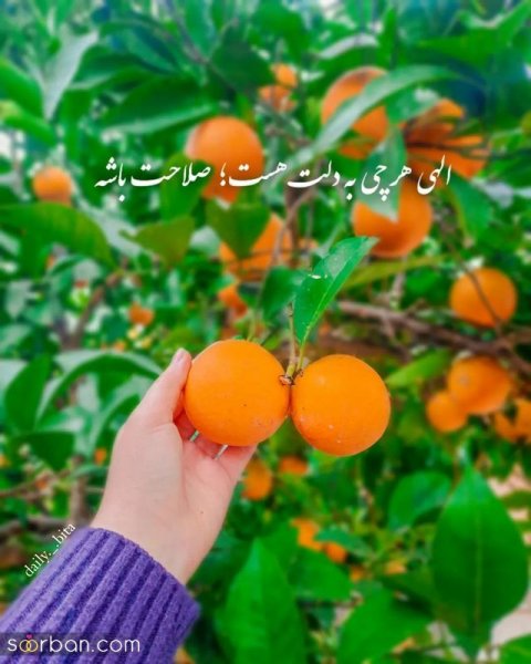  گالری عکس نوشته های جدید 1405