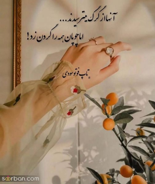  گالری عکس نوشته های جدید 1405