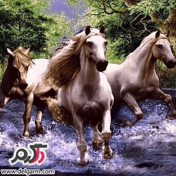  نقاشی سه بعدی جدید