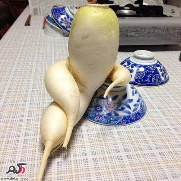  عکس های عجیب و جالب و واقعی در دنیا
