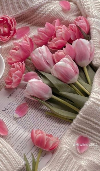 عکس گل برای استوری اینستا
