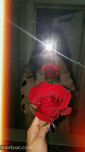  عکس گل دخترونه لاکچری برای استوری