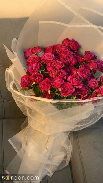  عکس گل دخترونه لاکچری برای استوری