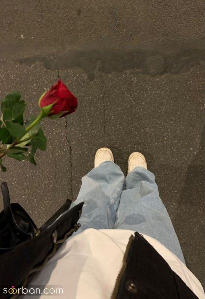 عکس گل دخترونه لاکچری برای استوری