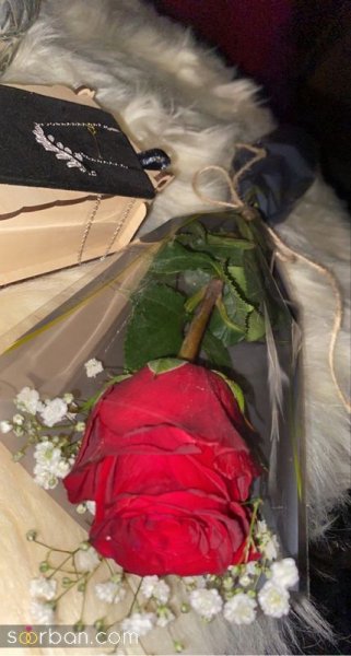  عکس گل دخترونه لاکچری برای استوری