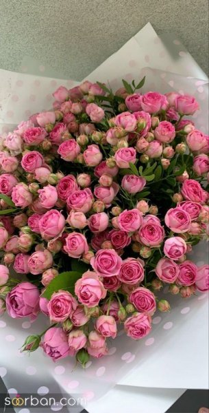  عکس گل دخترونه لاکچری برای استوری