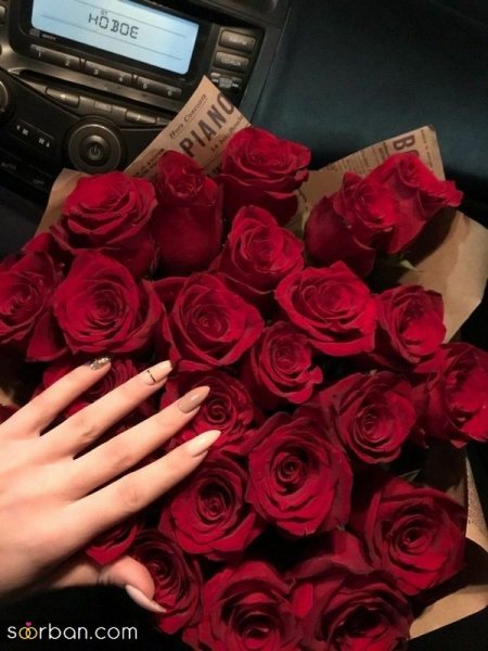  عکس گل دخترونه لاکچری برای استوری
