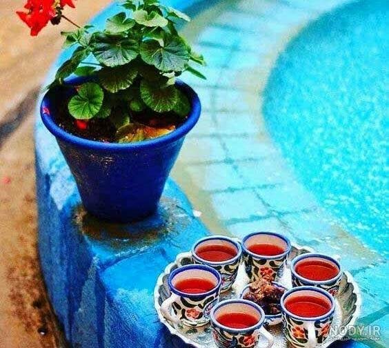  عکس گلدان شمعدانی زیبا برای استوری