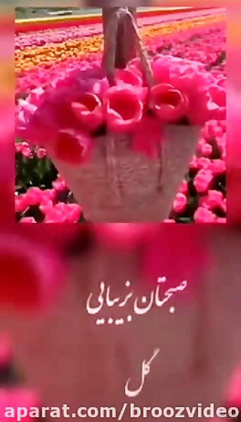  عکس استوری صبح دوشنبه تان سرشار از آرامش