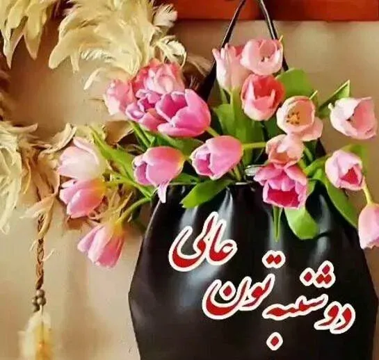  عکس استوری صبح دوشنبه تان سرشار از آرامش