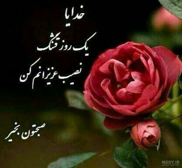  عکس استوری صبح دوشنبه تان سرشار از آرامش