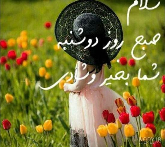  عکس استوری صبح دوشنبه تان سرشار از آرامش