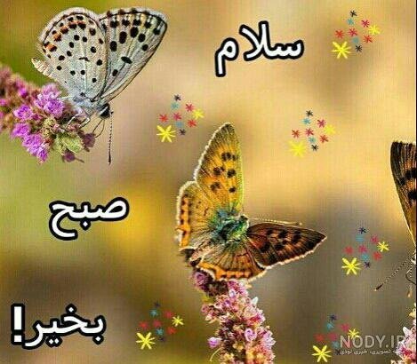  صبح دوشنبه بخیر متحرک
