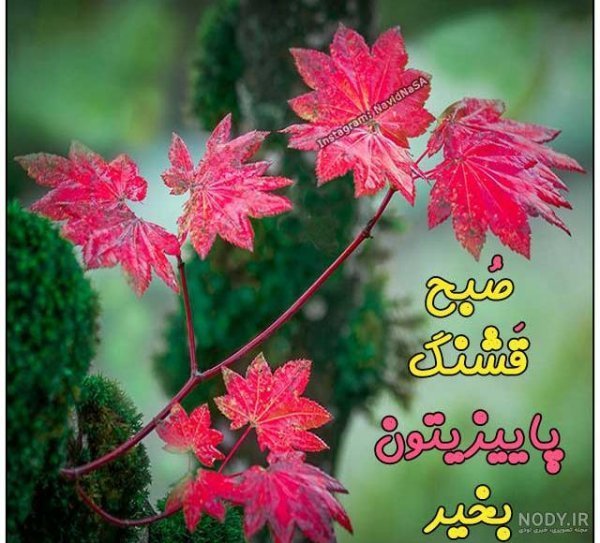  صبح دوشنبه بخیر متحرک
