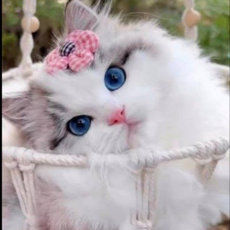  عکس برای پروفایل واتساپ عاشقانه
