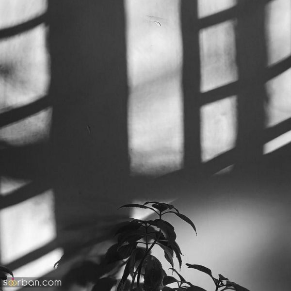  عکس سیاه سفید ساده و شیک
