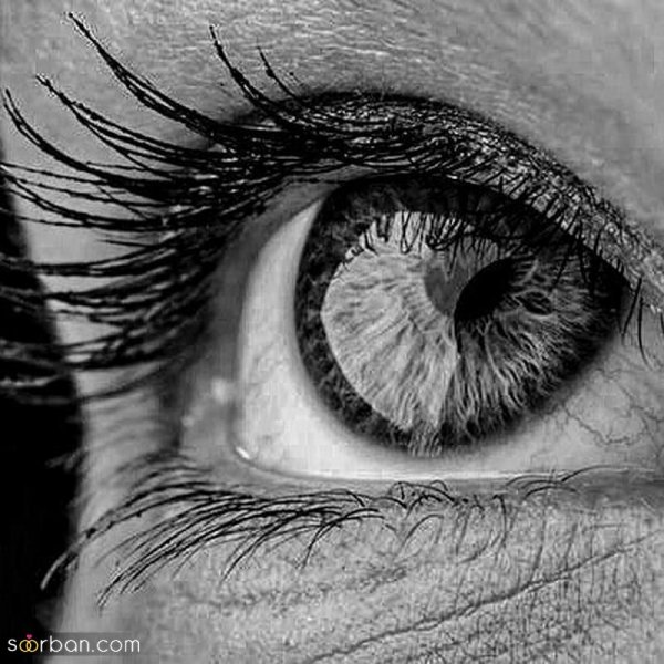 عکس سیاه سفید ساده و شیک