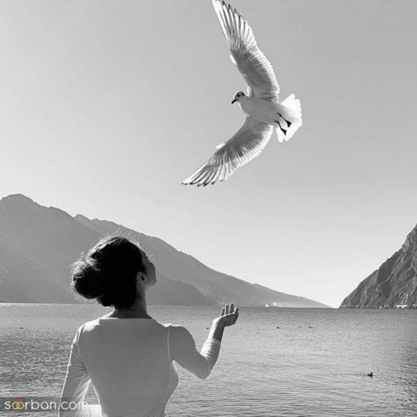  عکس سیاه و سفید
