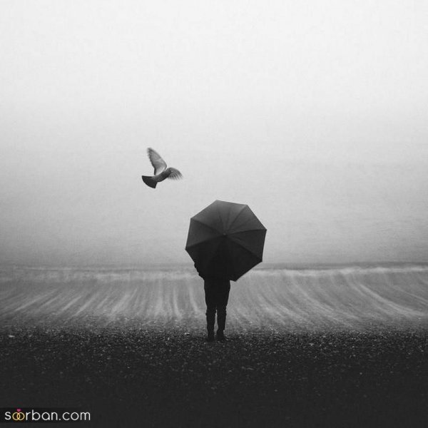 عکس سیاه و سفید