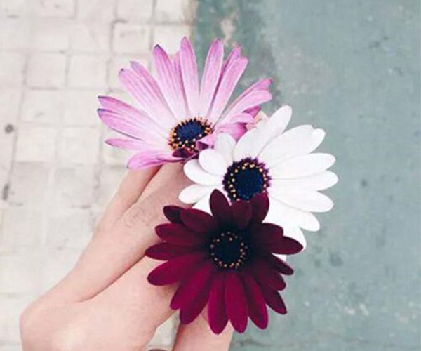  پروفایل خاص برای واتساپ