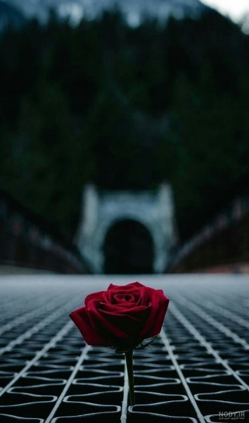  عکس غمگین بدون متن سنگین