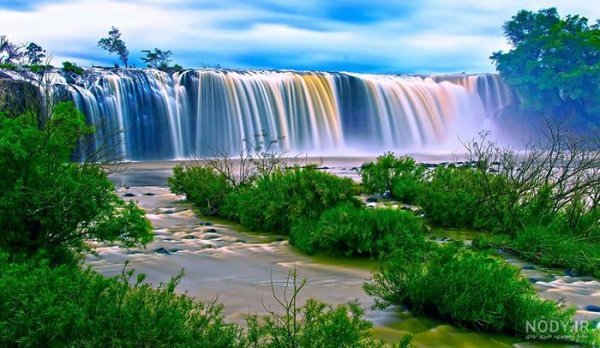 عکس جنگل سبز رویایی