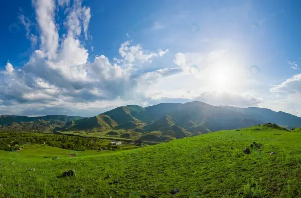  عکس جنگل سبز رویایی