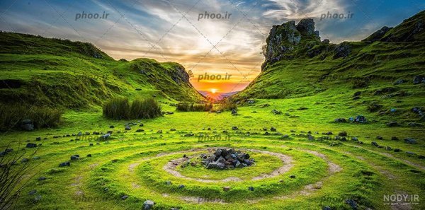  عکس جنگل سبز رویایی